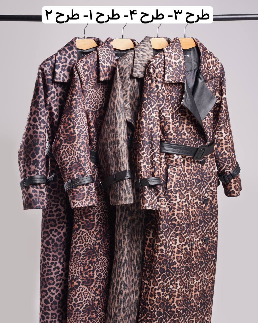 غکس دیپنا طرح 2