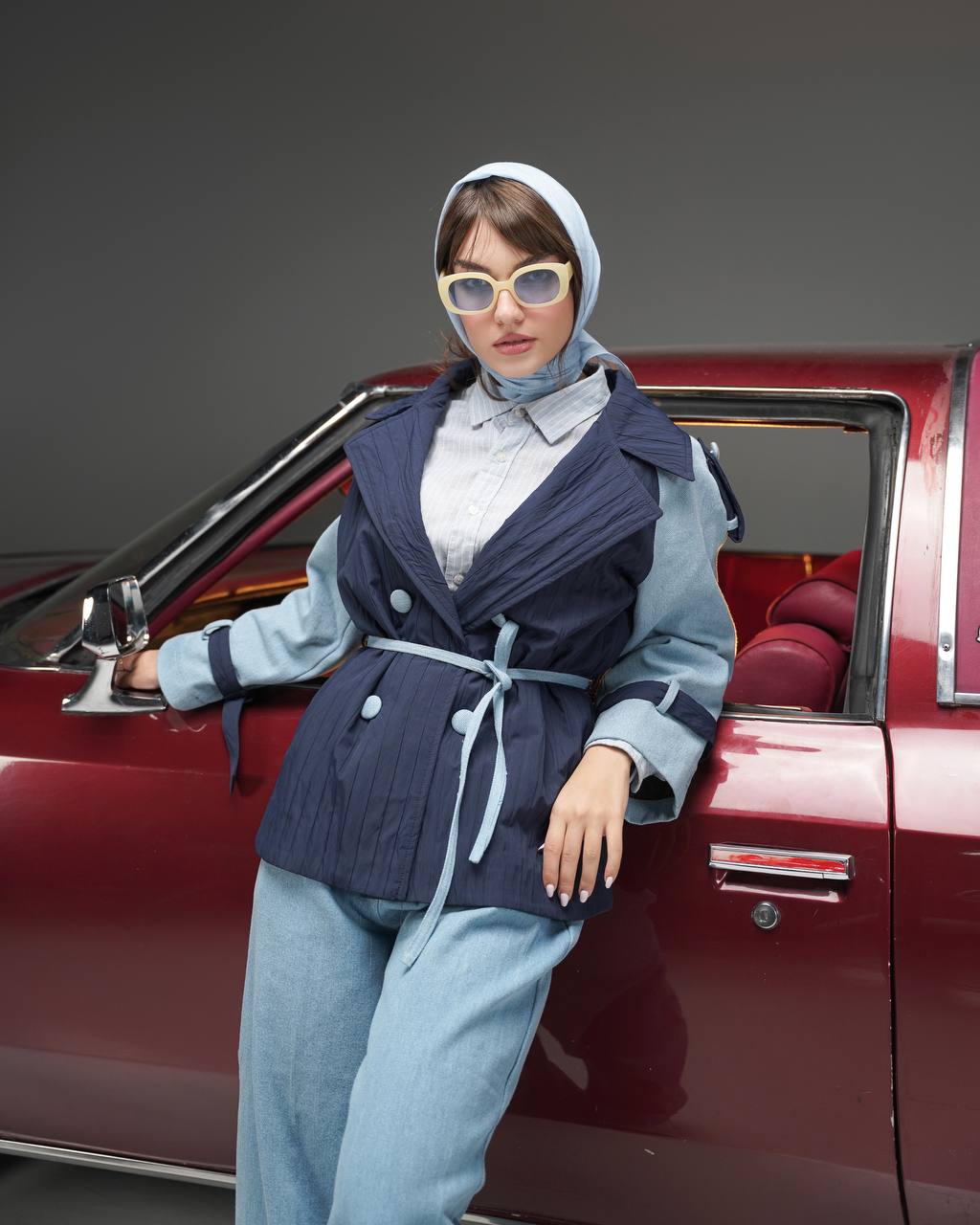 عکس هیسنا