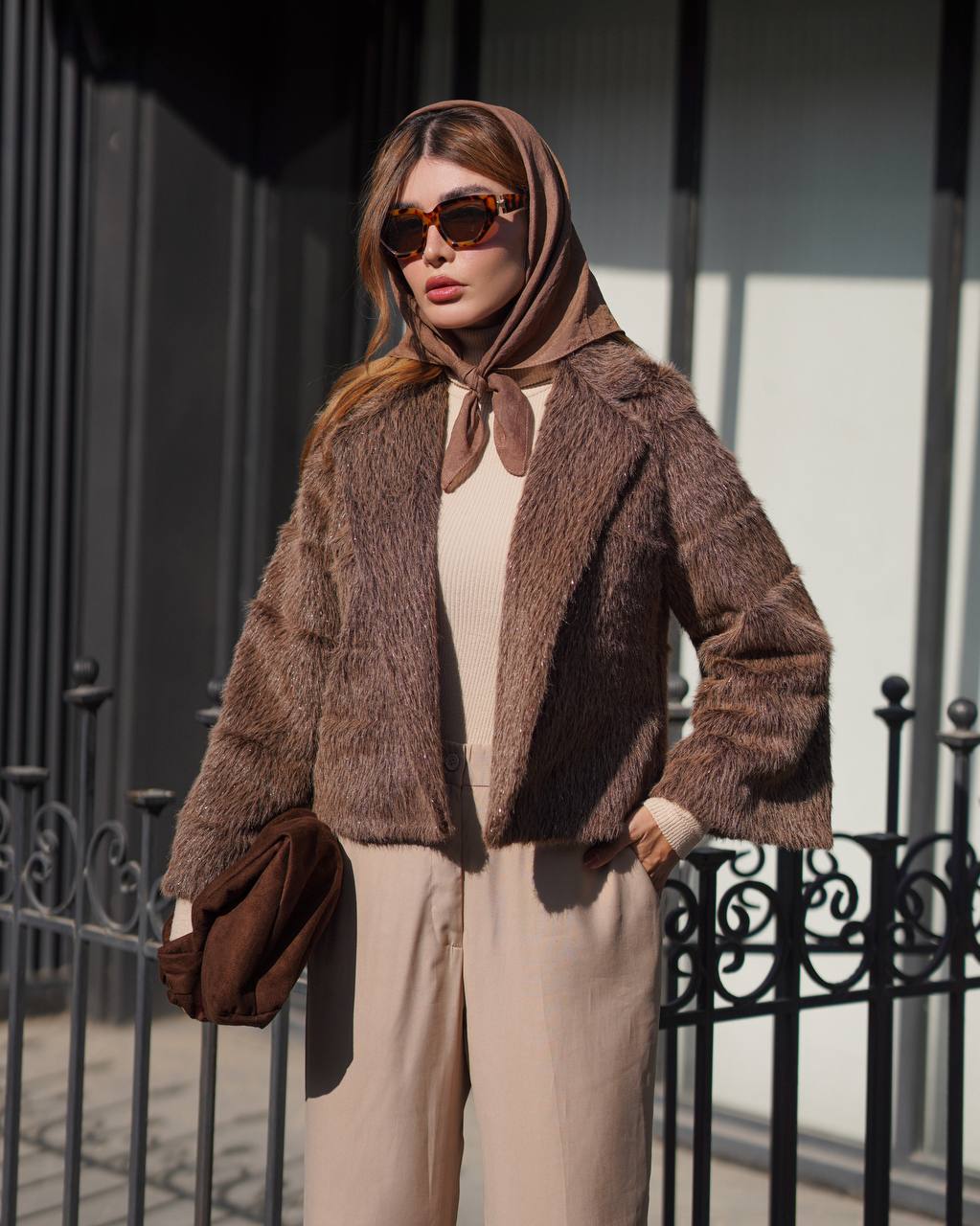 غکس هاسینی قهوه ای