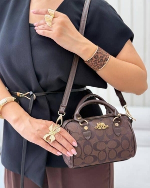 غکس تهمیسا کوچ قهوه ای
