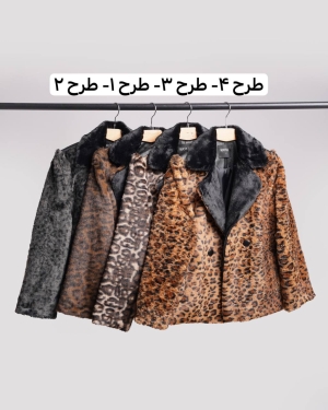 غکس نیکسان طرح 2