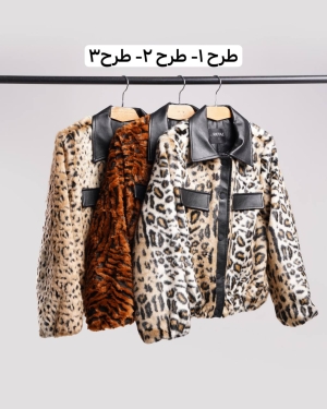غکس مانیشیا طرح 1